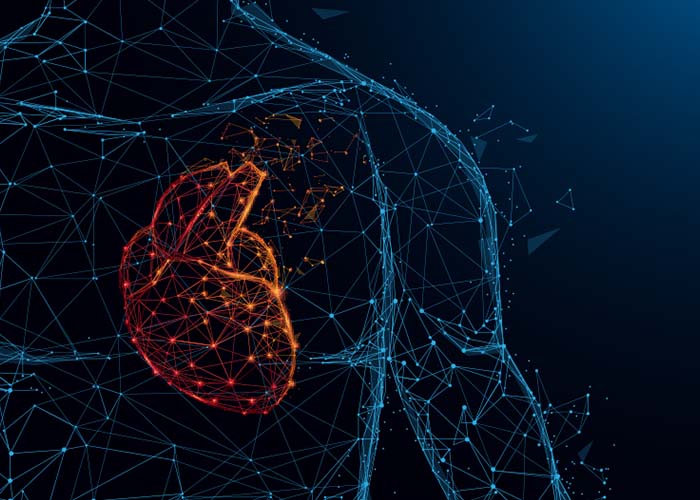 Invitation presse : Un implant innovant pour le traitement d‘insuffisances cardiaques
