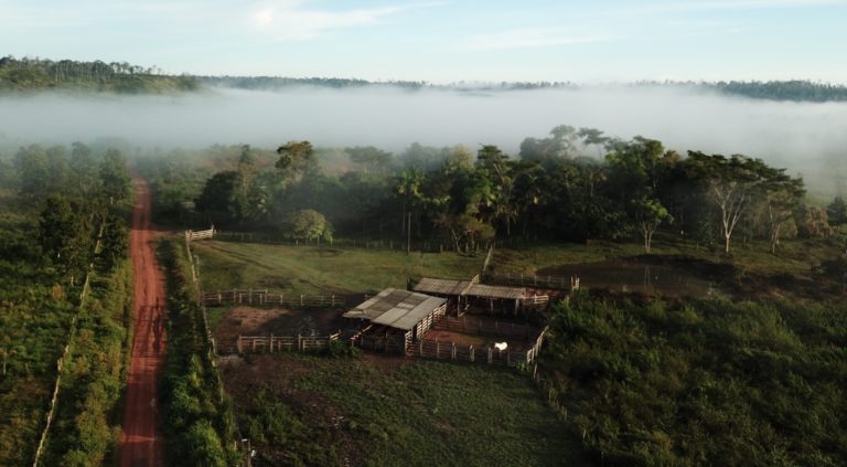 TerrAmaz : un partenariat inédit qui concilie lutte contre la déforestation et développement en Amazonie