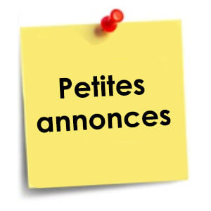 petites-annonces-icone-9531986d-85aad4ee