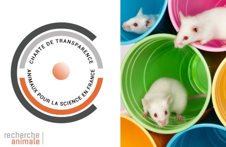 La Charte de transparence sur le recours aux animaux à des fins scientifiques et réglementaires en France est signée
