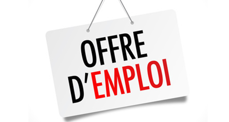 L’ESJ-Lille cherche un.e responsable pédagogique