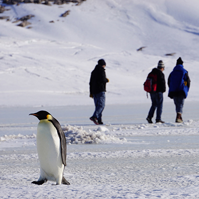 Conférence de presse CNRS/Institut polaire français - L'Antarctique, terre de sciences