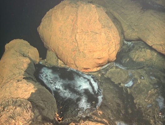 Images inédites au plus près du volcan sous-marin de Mayotte