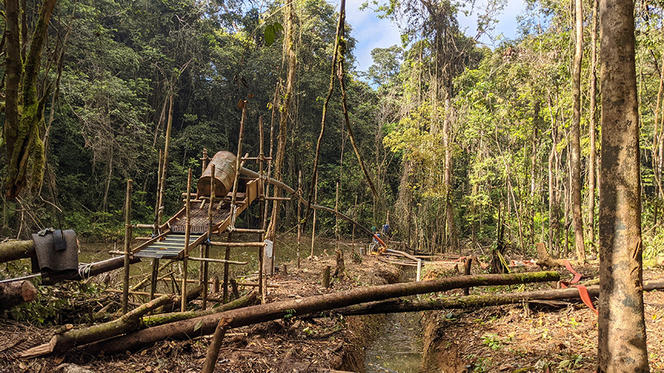 L'Amazonie - 1 heure avec F-M Le Tourneau