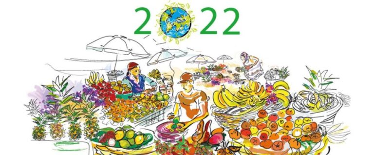 Bonne résolution 2022 : abonnez-vous aux communiqués du Cirad