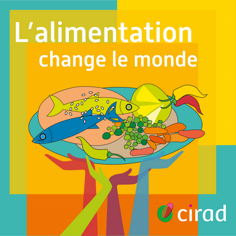 L’alimentation change le monde : la saison 1 du podcast du Cirad