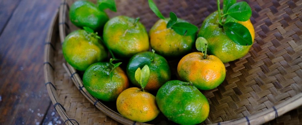 Mandarines cultivées dans la région de Kintamani, Bali, Indonésie c A. Rival, Cirad-2c6522e0