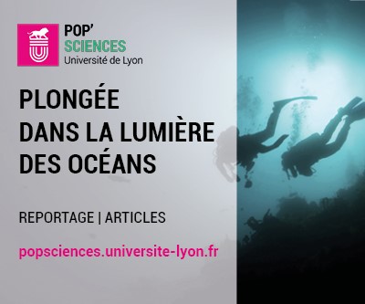 Plongée dans la lumière des océans | Un reportage Pop’Sciences