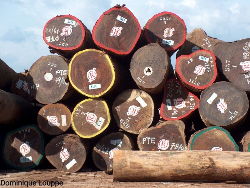 grumes en attente dans un port a bois - Owendo, Gabon c D. Louppe, Cirad-a21ef2f4