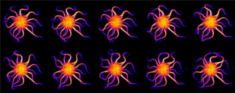 Auto-assemblage moléculaire reproduisant le mouvement ondulatoire des flagelles, responsables de la motilité des spermatozoïdes