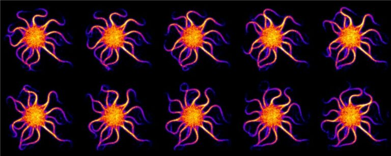 Auto-assemblage moléculaire reproduisant le mouvement ondulatoire des flagelles, responsables de la motilité des spermatozoïdes