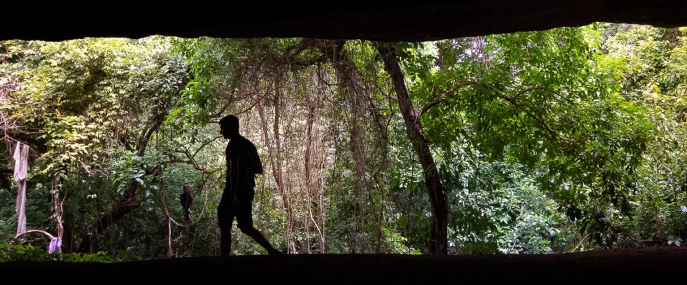 La forêt de Dindefelo, au Sénégal oriental © R. Belmin, Cirad La forêt de Dindefelo, au Sénégal oriental © R. Belmin, Cirad