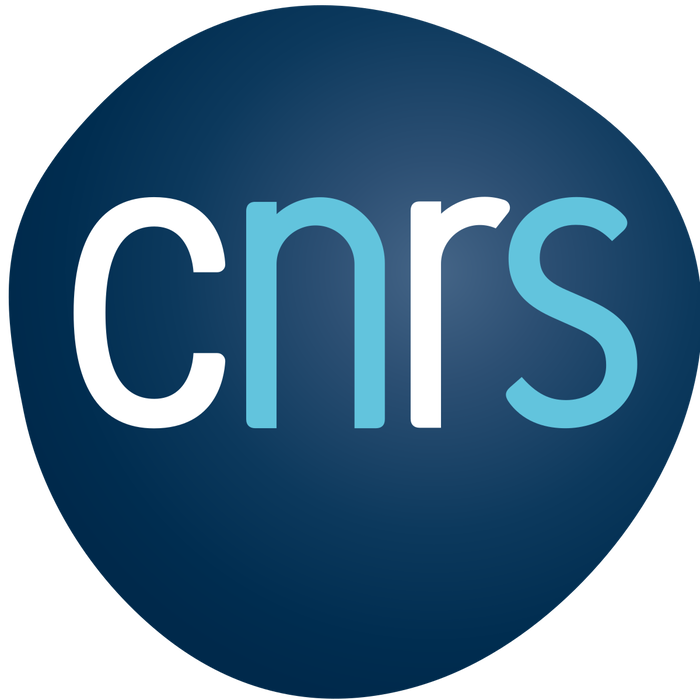 CNRS 700x700