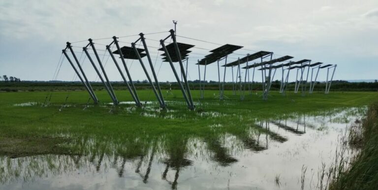 Le Cirad, partenaire d’EDF Renouvelables dans un projet pilote d’agrivoltaïsme sur le riz