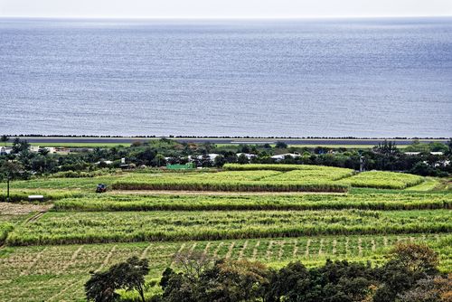 Rencontre avec les représentants des territoires d'outre-mer au Cirad sur les défis de la recherche pour les agricultures ultramarines