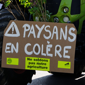 Carré_agriculteurs